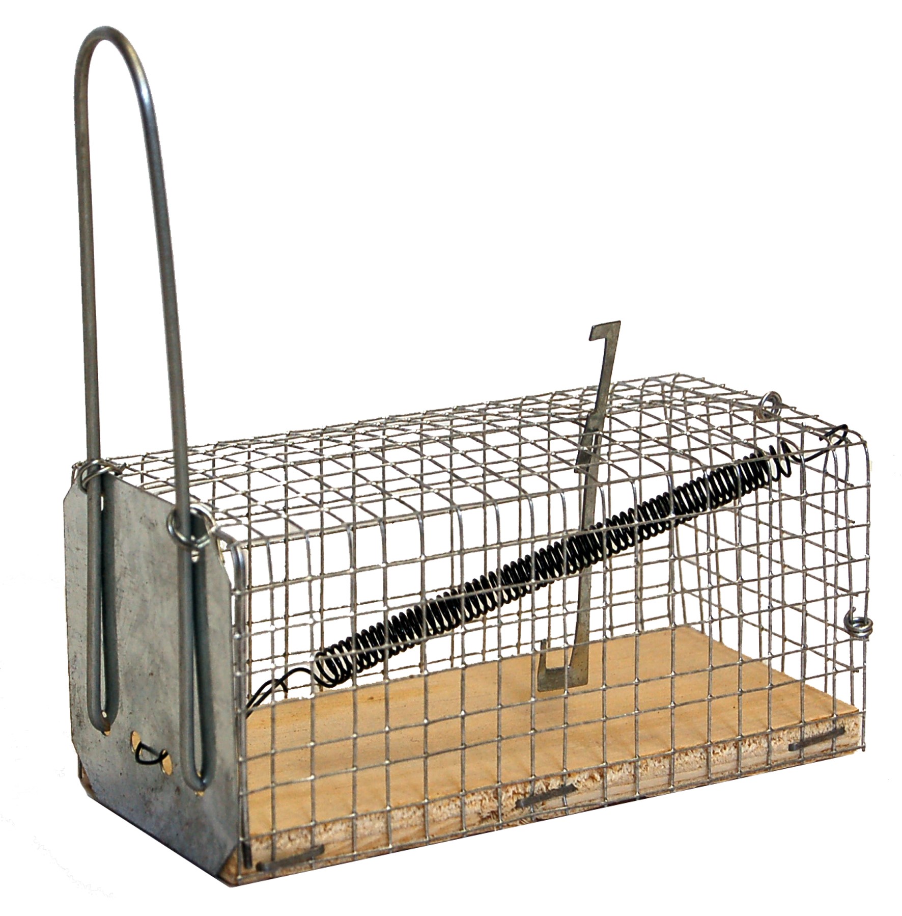 Nasse souris socle bois